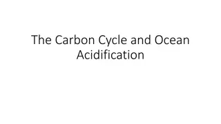 The Carbon Cycle and Ocean Acidification