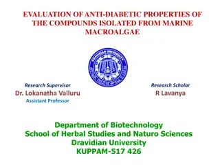 Evaluation of Anti-Diabetic Compounds from Marine Algae