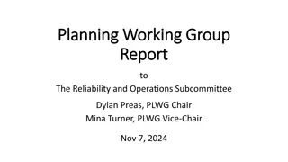 PLWG Group Report to Reliability Subcommittee