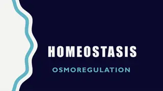 Homeostasis and Osmoregulation in Organisms