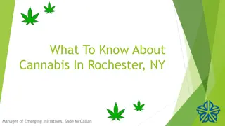 Cannabis Regulations in Rochester, NY