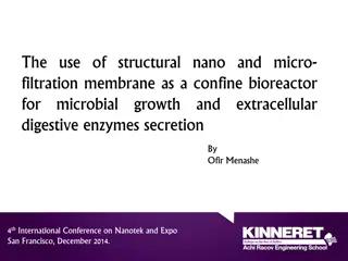 The Use of Structural Nano and Micro-Filtration Membrane in Bioreactors