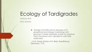 Intriguing Ecology of Tardigrades: Little Water Bears with Exceptional Abilities