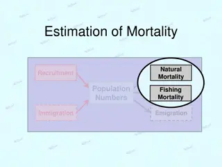 Mortality Rates and Catch Curves in Fisheries Population Dynamics