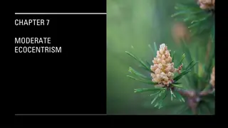 Moderate Ecocentrism: A Satisfactory Theory of Environmental Ethics