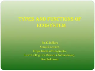 Types and Functions of Ecosystem: Components and Conservation
