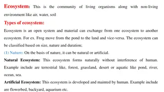 Ecosystems: Nature, Duration, and Size Explained
