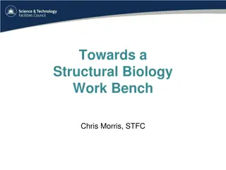 Insights into Structural Biology Research Trends