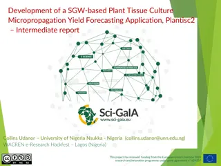 Plant Tissue Culture Micropropagation Analysis and Development