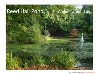 Exploring Biodiversity at Reed Hall Pond: A Comprehensive Study