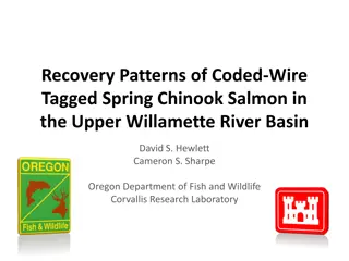 Recovery Patterns of Coded-Wire Tagged Spring Chinook Salmon