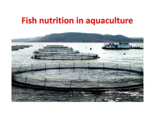 Fish Nutrition in Aquaculture
