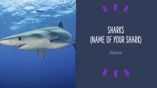 Fascinating Facts About Sharks and Their Environment
