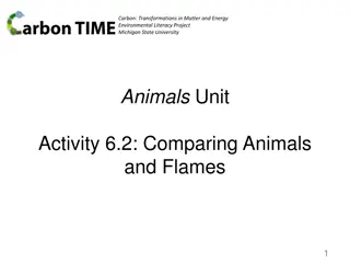 Comparing Carbon Transformations in Animals and Flames