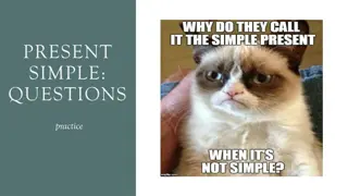 Present Simple Questions Practice Lesson Plan