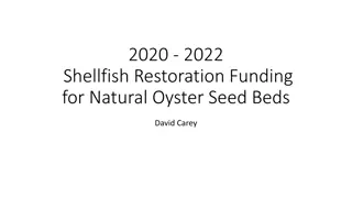 Shellfish Restoration Funding and Workplans for Oyster Seed Beds 2020-2022