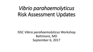 Updates and Insights on Vibrio parahaemolyticus Risk Assessment Workshops