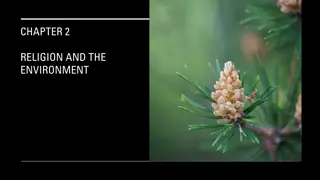 Christianity's Impact on the Environment