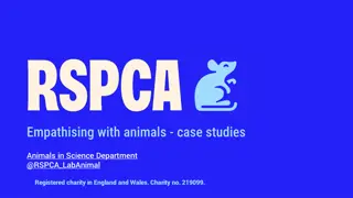 Animal Experiences in Research: A Case Study Approach