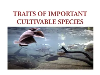 Grey Mullets: Important Brackish Water Cultivable Fish