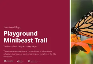 Exploring Minibeasts: Outdoor Learning Adventure