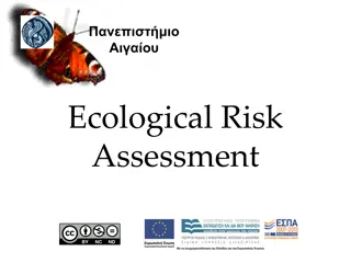 Ecological Risk Assessment in Environmental Decision-Making