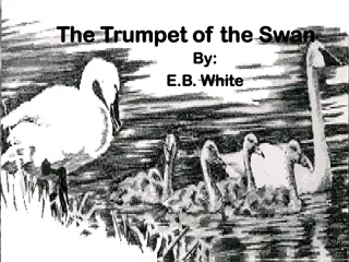 Exploring the Trumpet of the Swan: Author, Characters, and Trumpeter Swans