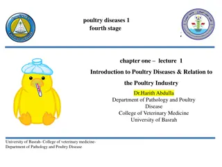 Poultry Diseases and Their Impact on Industry