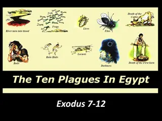 Plagues of Egypt: Divine Judgments & Miracles in Exodus