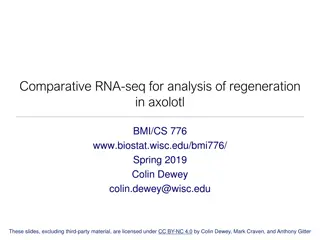 Comparative RNA-seq Analysis of Axolotl Regeneration