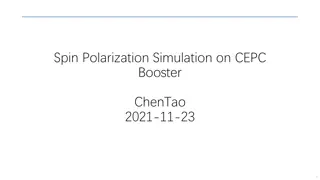 Spin Polarization and Depolarization in Particle Accelerators