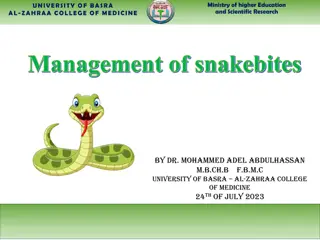 Management of Snakebites in Rural Areas - University Lecture Insights