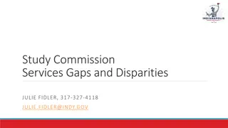 Gaps and Disparities in Commissioned Services