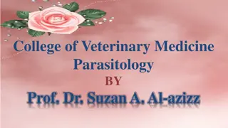 Parasitology in Veterinary Medicine