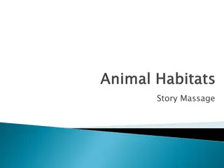 Visiting Friends - A Rabbit's Journey