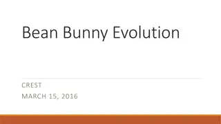 Bean Bunny Evolution through Natural Selection