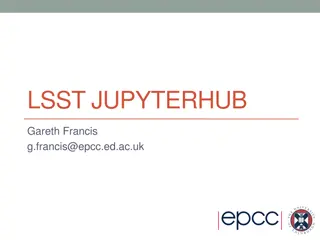 Exploring LSST JupyterHub Deployment for Astronomy Data Analysis
