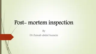 Postmortem Inspection in Veterinary Practice