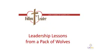 Exploring Leadership and Guidance Through Wolf Pack Dynamics and Spiritual Reflection