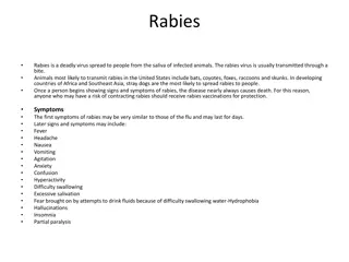 Rabies: Symptoms, Transmission, and Pathogenesis