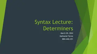 Determiners in Linguistics