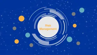 Risk Management in Organizations