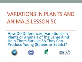 Variations in Plants and Animals for Survival and Reproduction