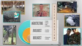 Explore Animal-Related Careers in Agriculture and Wildlife Management