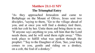 Triumph and Tragedy: The Entry to Jerusalem