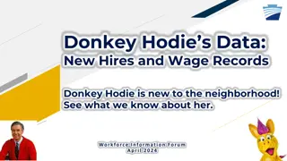 Donkey Hodie's Data: New Hires and Wage Records Overview