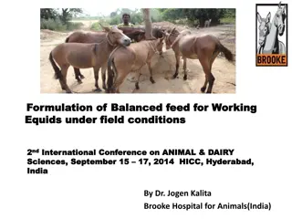 Formulation of Balanced Feed for Working Equids in India