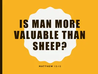 Is Man More Valuable Than Sheep? Exploring the Biblical Perspective