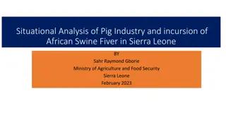 Situational Analysis of Pig Industry in Sierra Leone