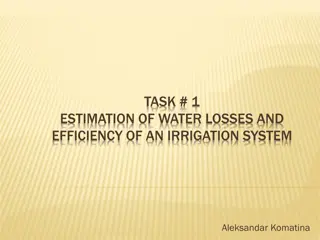 Estimation of Water Losses and Efficiency of an Irrigation System